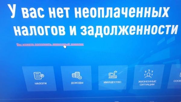 Суды и Налоговая служба наладят цифровой обмен данных по налоговым задолженностям изображение публикации
