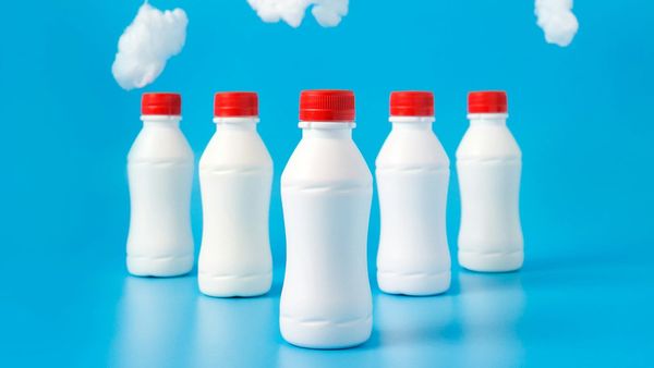 Кыргызстан увеличил экспорт молочной продукции на 44% изображение публикации