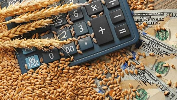 Кыргызстан запросил квоту на экспорт 1 млн тонн сельхозпродукции в Китай изображение публикации
