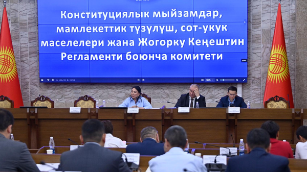 Заседание профильного комитета Жогорку Кенеша. Фото: kenesh.kg.
