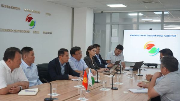 УКФР поддержит «Кыргызфармацию» в закупке медикаментов из Узбекистана изображение публикации