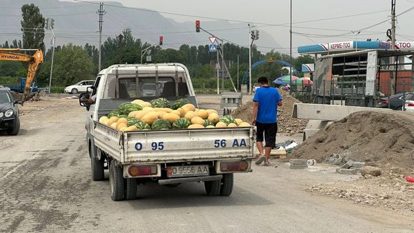 Мэр Оша запретил продавать арбузы и дыни на обочинах дорог изображение публикации