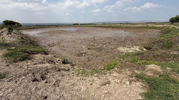 ГКНБ вернул Минсельхозу 120 га рисовых плантаций в Баткенской области изображение публикации