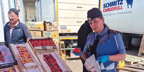 Ввоз фруктов и овощей из КР и Казахстана в РФ: с начала июля выявлено 30 нарушений изображение публикации