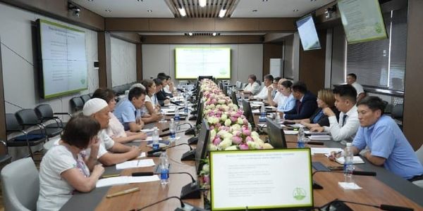 В КР введут 13 новых перерабатывающих предприятий до конца лета изображение публикации