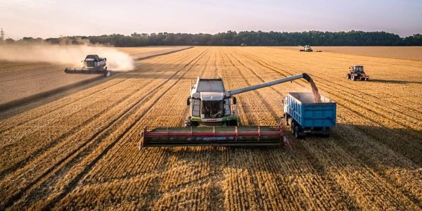 Кыргызстан покрывает внутренний спрос по 7 из 9 социально значимых продуктов — Минсельхоз изображение публикации