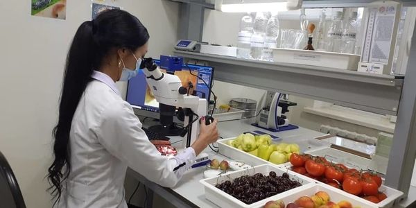 Центральная фитолаборатория Минсельхоза успешно прошла переаккредитацию изображение публикации