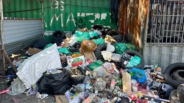 Мэрия Бишкека за неделю оштрафовала нарушителей санитарных норм на 1 млн сомов изображение публикации