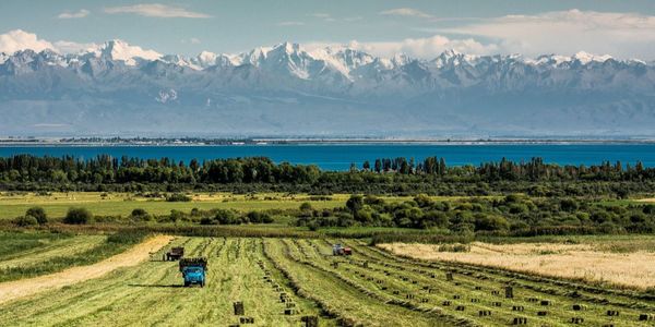 В Кыргызстане создали цифровую платформу для аренды сельхозземель – agrojer.kg изображение публикации