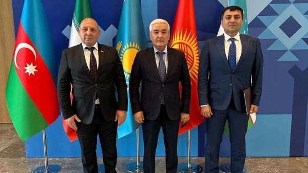 На форуме ОЭС в Азербайджане Кыргызстан заявил о готовности к совместным инициативам изображение публикации