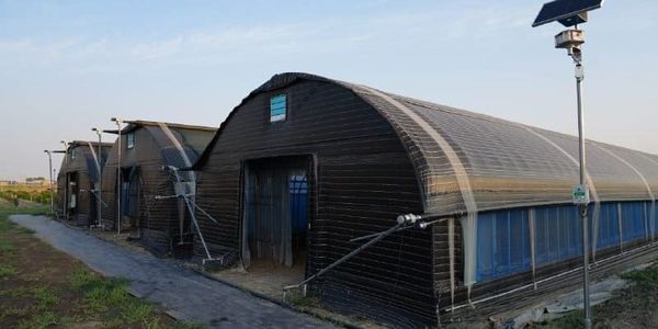 Кыргызстан вложит более $3.4 млн в «умные теплицы» для развития собственного семеноводства изображение публикации