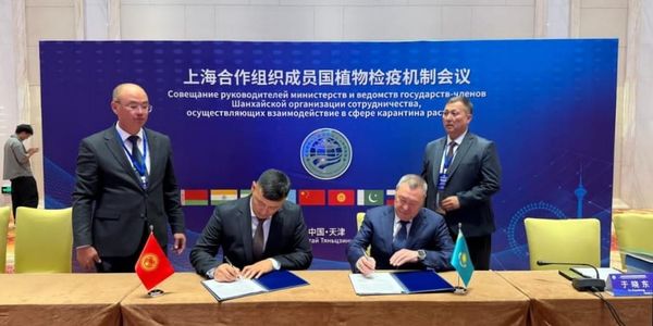 Совещание руководителей органов по карантину растений стран ШОС в Тяньцзине. Фото: Минсельхоз.