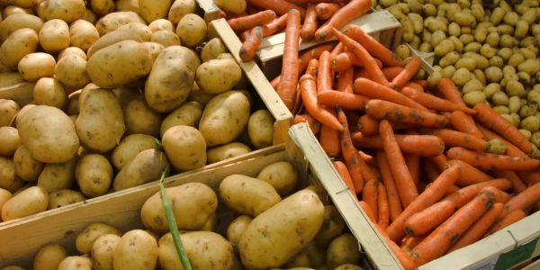 В 2025 году Кыргызстан полностью обеспечит себя картофелем и морковью – Минсельхоз изображение публикации