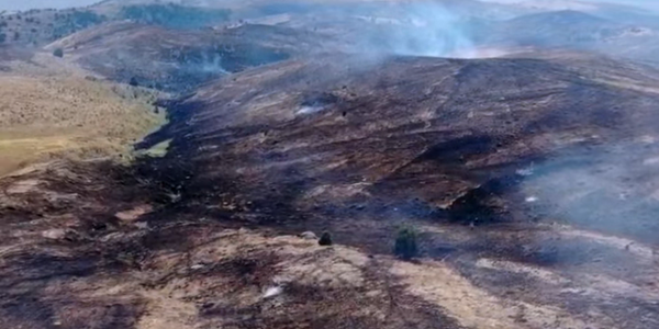 Огонь с территории Казахстана может перекинуться на заповедник в КР изображение публикации