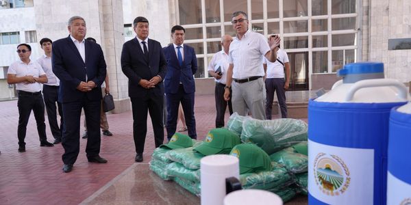 В КР осеменят не менее 200 тысяч голов КРС — аграриям передали новое оборудование изображение публикации