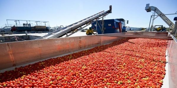 В КР с начала года ввели в эксплуатацию девять перерабатывающих предприятий изображение публикации
