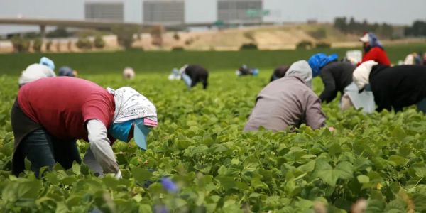 Участились аферы с «легкой работой» за границей – Центр трудоустройства изображение публикации