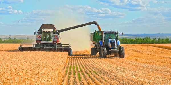 В Кыргызстане убрали 264 тысячи га зерновых культур изображение публикации