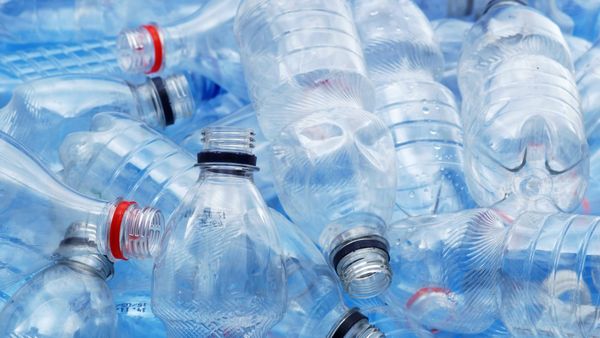 Запрет на пластиковую тару в КР смягчили: разрешили бутылки и упаковку для еды изображение публикации