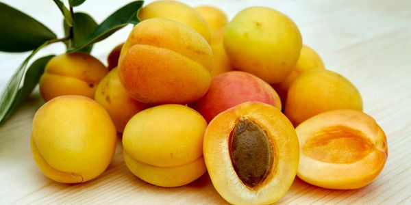 Россельхознадзор не пустил в Оренбург 500 тонн овощей и фруктов из стран Центральной Азии изображение публикации