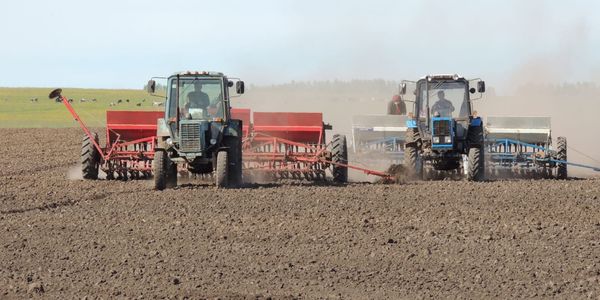 В Кыргызстане засеяли 63 тысячи тонн семян зерновых культур изображение публикации