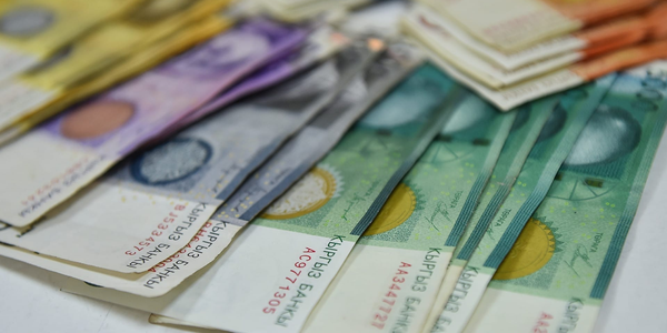 Ветслужба с начала года заработала на госуслугах более 120 млн сомов — Минсельхоз изображение публикации