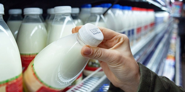 В РФ по поддельным ветеринарным сертификатам завезли молочную продукцию из КР изображение публикации