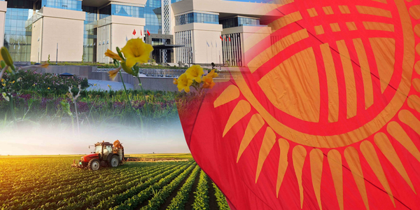 Кабмин КР оценил работу Минсельхоза за 2025 год: новые объекты, рост экспорта и поддержка фермеров изображение публикации