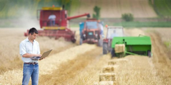 Изменения в налоговом законодательстве: Какие льготы предусмотрены для сельского хозяйства? изображение публикации