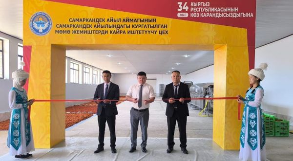 В Баткенском районе открыли три новых производственных объекта — детали проектов изображение публикации