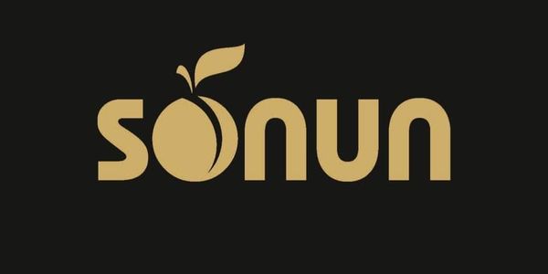 Муниципальная инспекция выявила незаконный слив отходов заводом «Сонун» изображение публикации