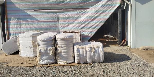 В Таласе заработало предприятие по переработке тонкой шерсти изображение публикации