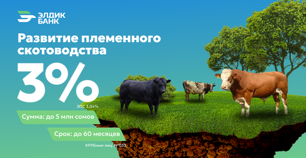 Развитие племенного скотоводства под 3% от «Элдик Банка» изображение публикации