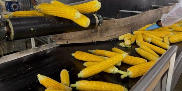 Минсельхоз призвал внедрять кластерный подход в агросекторе, поставив в пример компанию «Нуристан» изображение публикации