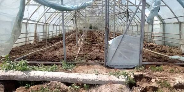 Минприроды оштрафовало фермера на 28 тысяч сомов за экологические нарушения изображение публикации