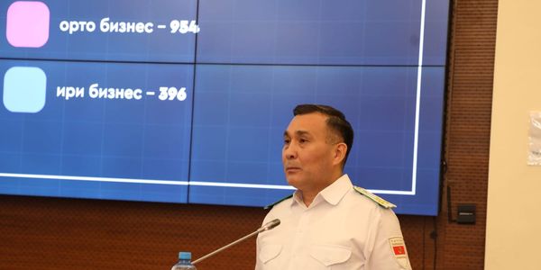 В КР обновили сервис proverka.gov.kg и запустили мобильное приложение «Защита бизнеса» изображение публикации