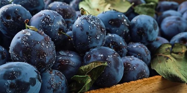 В Иссык-Кульской области собрано свыше 1.3 млн тонн фруктов и ягод – Минсельхоз изображение публикации