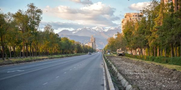 Что сделают с панно «Встреча гостей» и деревьями на проспекте Айтматова, рассказал мэр Бишкека изображение публикации