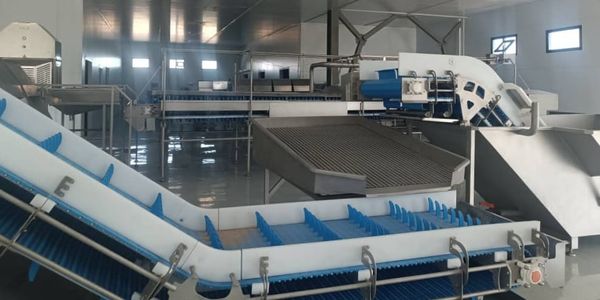 Ко Дню независимости КР в Балыкчы открыли завод по разведению форели изображение публикации