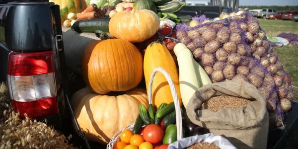 Минсельхоз призвал аграриев активнее использовать практику второго урожая изображение публикации