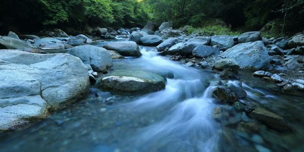 Кыргызстан и Узбекистан направят в Казахстан 600 млн м³ воды для покрытия дефицита изображение публикации