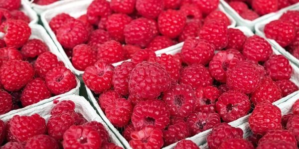 Через платформу Agro Fi экспортировано 1800 тонн малины в страны СНГ, Сербию и Литву изображение публикации