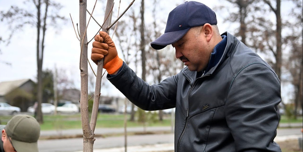 «Прекратите нанимать блогеров»: спикер ЖК раскритиковал чиновников за самопиар изображение публикации