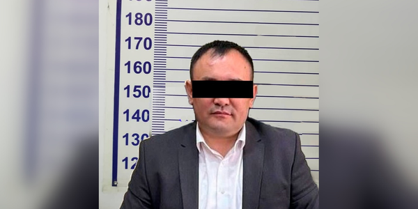 Замакима Сокулукского района задержан по делу о махинациях с землями сельхозназначения изображение публикации