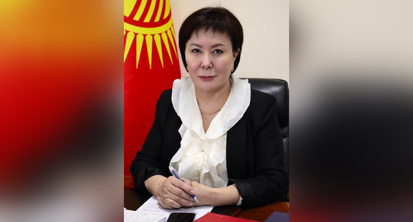 О диалоге с бизнесом, поддержке МСБ и планах на будущее — Гюльшат Асылбаева в интервью Economist.kg изображение публикации