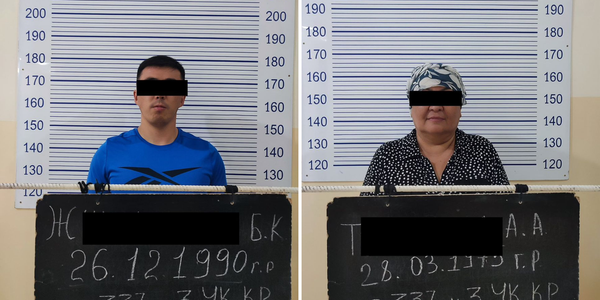 В Оше сотрудники Налоговой скрыли долги компании — ГКНБ задержал двоих изображение публикации