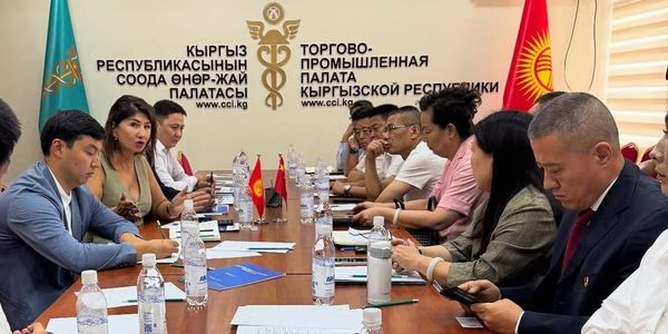 В Бишкеке состоялись переговоры с крупнейшими производителями стройматериалов Китая изображение публикации