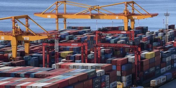 Какие ниши Кыргызстана остаются открытыми для индийского экспорта — обзор изображение публикации