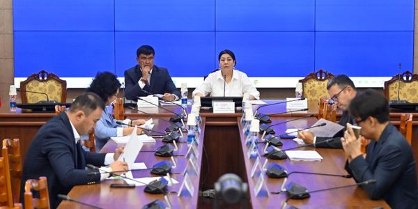 Заседание профильного комитета ЖК. Фото: пресс-служба Жогорку Кенеша.