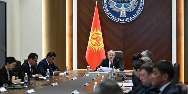 Перерегистрацию ИП переведут в онлайн: подача заявки займет 5-10 минут изображение публикации